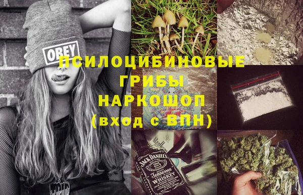 дживик Алексеевка