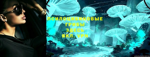 дживик Алексеевка