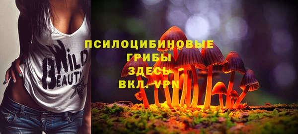 метадон Алзамай
