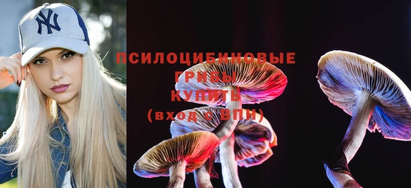 меф Алексин