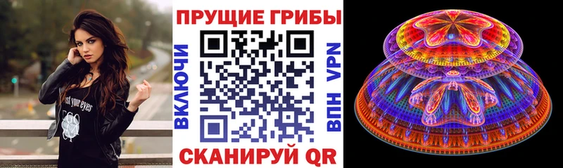 купить  цена  Махачкала  Псилоцибиновые грибы Magic Shrooms 